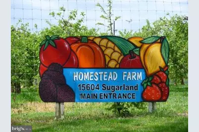 19332 Cissel Manor Drive, Poolesville, MD 20837 - Photo 75