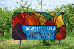 19332 Cissel Manor Dr, Poolesville, MD 20837 - Photo 75