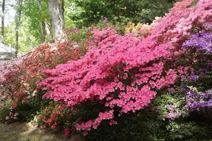 1912 Kimberly Rd, Silver Spring, MD 20903 - Photo 43