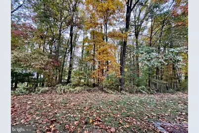17120 Briardale, Derwood, MD 20855 - Photo 29