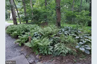 20830 Peach Tree Road, Dickerson, MD 20842 - Photo 51