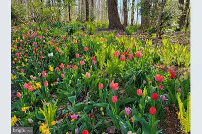 20830 Peach Tree Road, Dickerson, MD 20842 - Photo 5