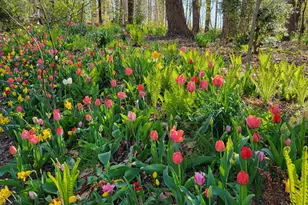 20830 Peach Tree Rd, Dickerson, MD 20842 - Photo 5