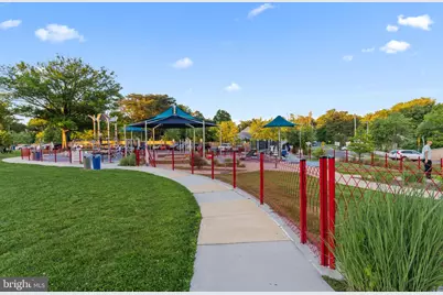 8209 Flower Avenue, Takoma Park, MD 20912 - Photo 81