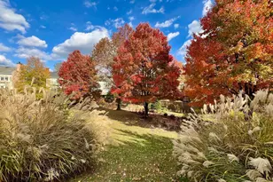 1707 Leighton Wood Ln, Silver Spring, MD 20910 - Photo 15