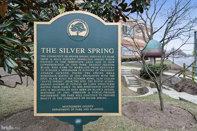 116 Lee Avenue #112, Takoma Park, MD 20912 - Photo 51