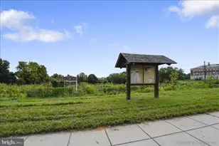 116 Lee Ave, Takoma Park, MD 20912 - Photo 59