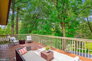 9803 Hill St, Kensington, MD 20895 - Photo 57