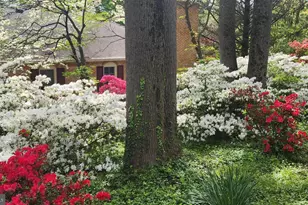 9803 Hill St, Kensington, MD 20895 - Photo 67