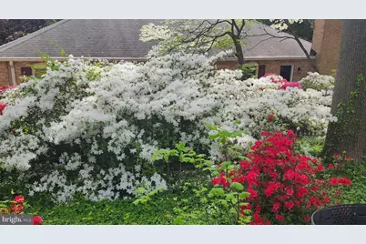 9803 Hill Street, Kensington, MD 20895 - Photo 65