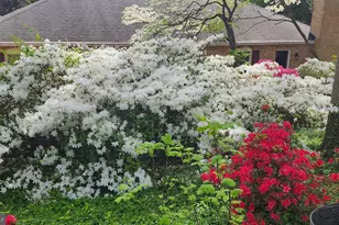 9803 Hill St, Kensington, MD 20895 - Photo 65