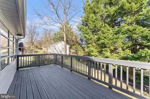 11013 Amherst Ave, Silver Spring, MD 20902 - Photo 49