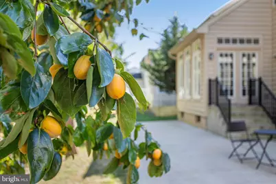 13107 English Turn Drive, Silver Spring, MD 20904 - Photo 71