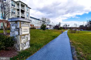 3750 Clara Downey Ave, Silver Spring, MD 20906 - Photo 21