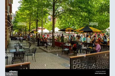 506 Pinewood Road, Rockville, MD 20850 - Photo 41