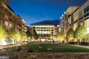 506 Pinewood Rd, Rockville, MD 20850 - Photo 39