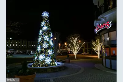 506 Pinewood Road, Rockville, MD 20850 - Photo 35