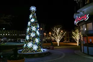 506 Pinewood Rd, Rockville, MD 20850 - Photo 35