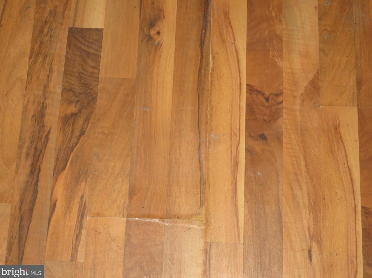 10716 Dragoo Pl, Clinton MD 20735-3912 exterior