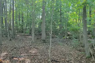 Beech Ln, Accokeek, MD 20607 - Photo 1