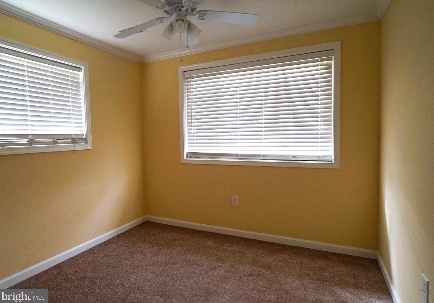 303 Goldleaf Ave, Capitol Heights MD  20743-2532 exterior