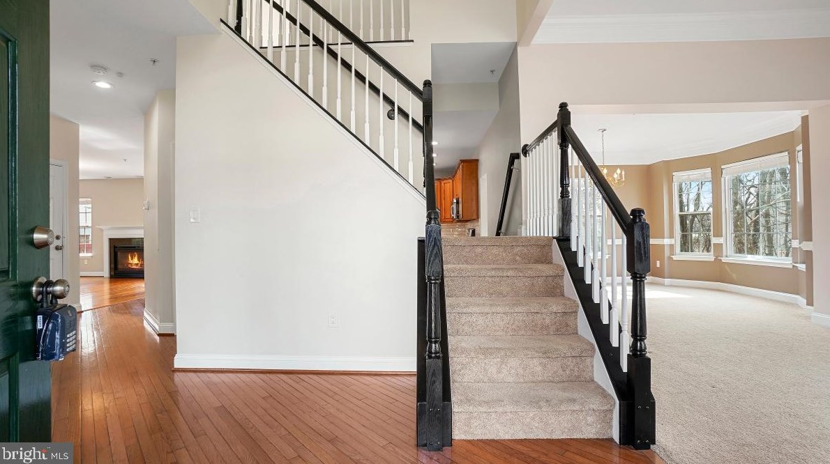 12911 Belle Meade Trce, Bowie MD  20720-4658 exterior