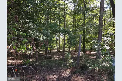 306 Thaden Avenue, Fort Washington, MD 20744 - Photo 3