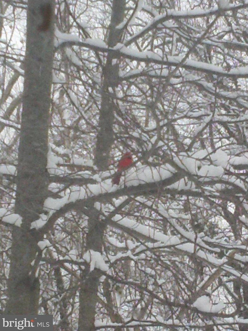 143 Farmington Rd, Accokeek MD 20607-9758 exterior