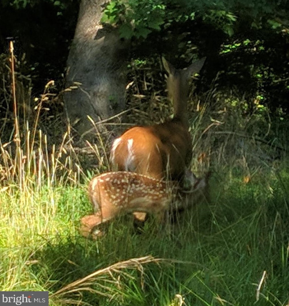 143 Farmington Rd, Accokeek MD 20607-9758 exterior