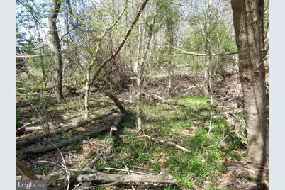 0 Piscataway, Clinton, MD 20735 - Photo 5