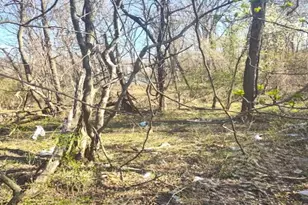 Saint Barnabas Rd, Oxon Hill, MD 20745 - Photo 1