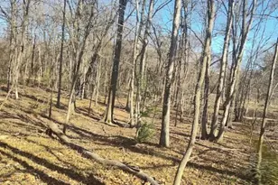 Saint Barnabas Rd, Oxon Hill, MD 20745 - Photo 1