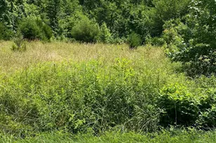 16950 Livingston Rd, Accokeek, MD 20607 - Photo 1