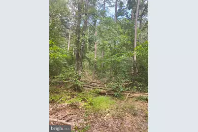 4820 Danville Road, Brandywine, MD 20613 - Photo 9