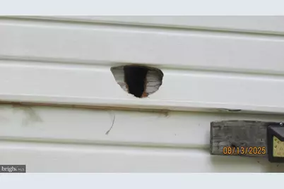 5020 Huron Street, College Park, MD 20740 - Photo 13