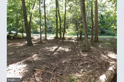 Croom Road, Brandywine, MD 20613 - Photo 3