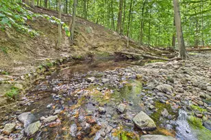 7709 Brooklyn Bridge Rd, Laurel, MD 20707 - Photo 17