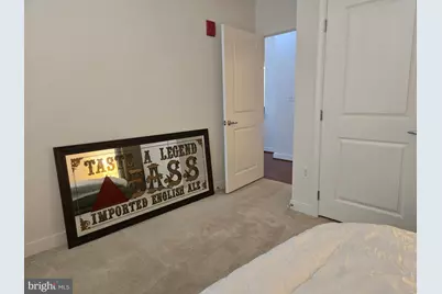 155 Potomac Passage #310, National Harbor, MD 20745 - Photo 9