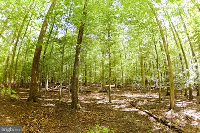 Laurel Drive, Accokeek, MD 20607 - Photo 5