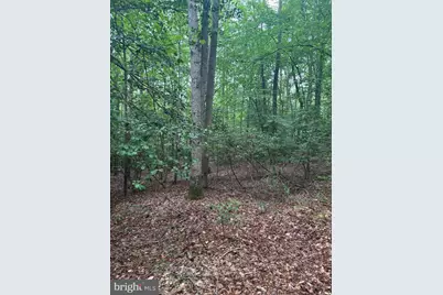 16661 Bald Eagle School Road, Brandywine, MD 20613 - Photo 5