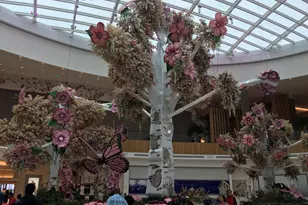 7906 Esther Dr, Oxon Hill, MD 20745 - Photo 79