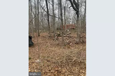 13803 Old Jericho Park Road, Bowie, MD 20720 - Photo 3