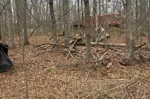 13803 Old Jericho Park Rd, Bowie, MD 20720 - Photo 3