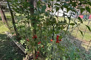 8127 Murray Hill Dr, Fort Washington, MD 20744 - Photo 39