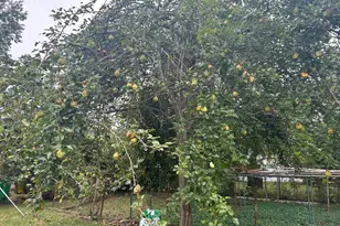 8127 Murray Hill Dr, Fort Washington, MD 20744 - Photo 41