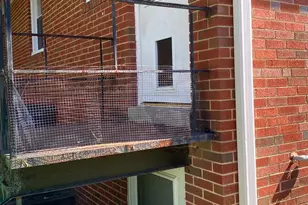 4632 Lacy Ave, Suitland, MD 20746 - Photo 39