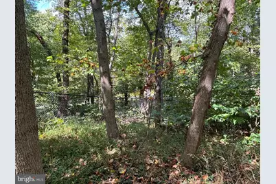 10807 Riverview Road, Fort Washington, MD 20744 - Photo 3