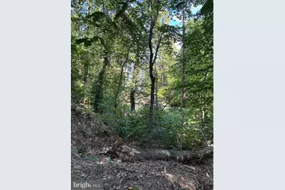 10807 Riverview Road, Fort Washington, MD 20744 - Photo 5