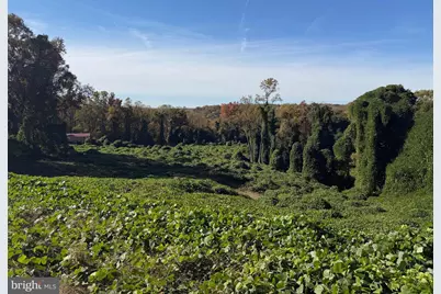 Joseph Drive, Clinton, MD 20735 - Photo 3