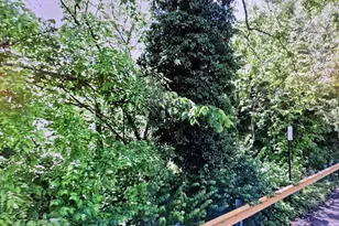 605 Mentor Ave, Capitol Heights, MD 20743 - Photo 1